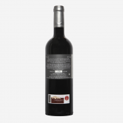 2009Trasera