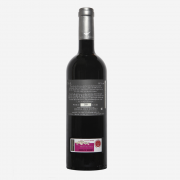 2010Trasera